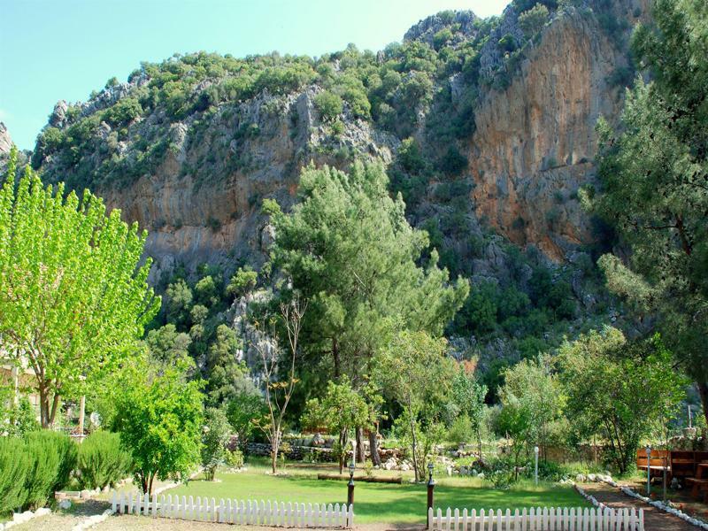 Dionysos Lodge Çıralı エクステリア 写真
