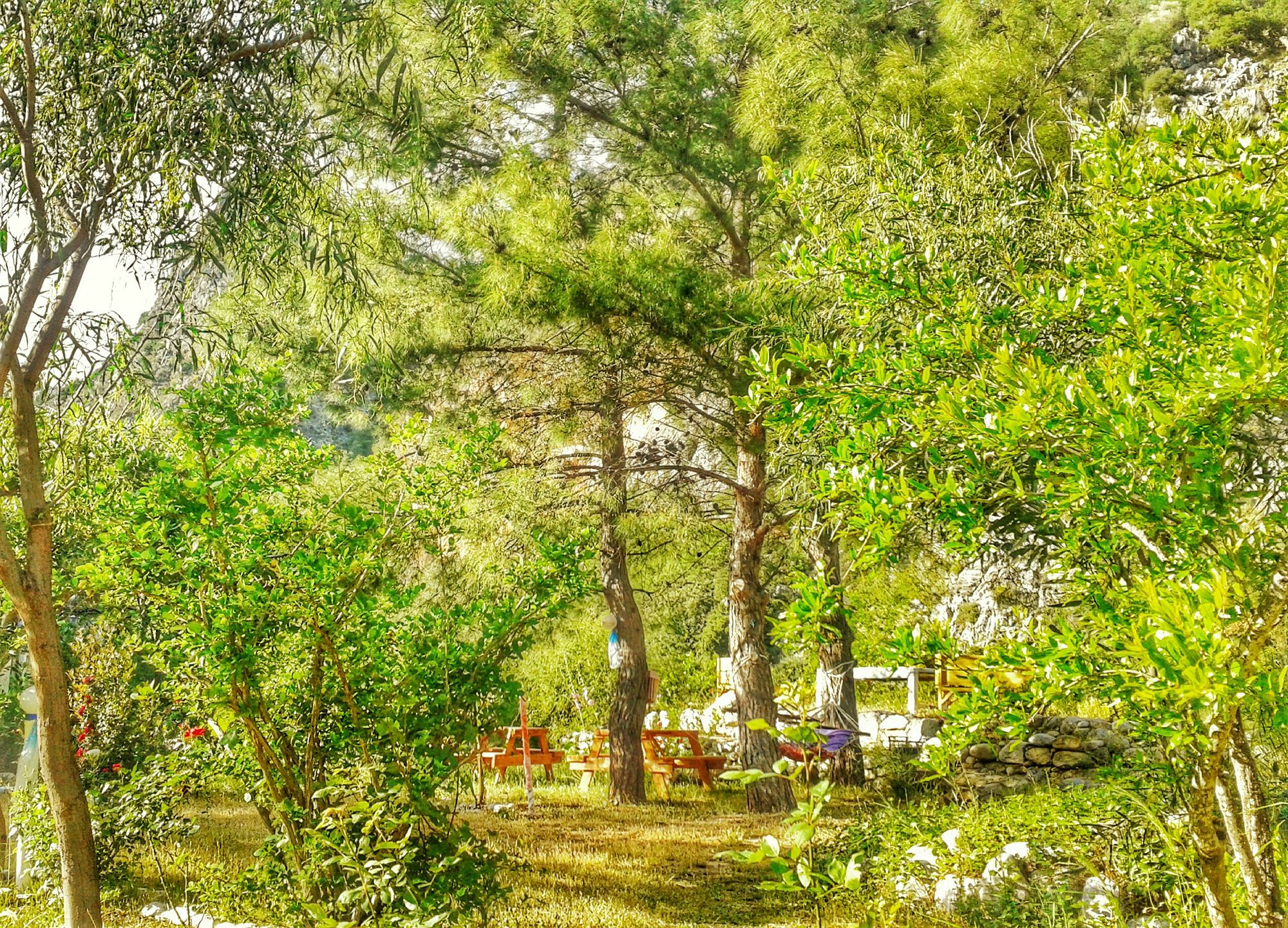 Dionysos Lodge Çıralı エクステリア 写真