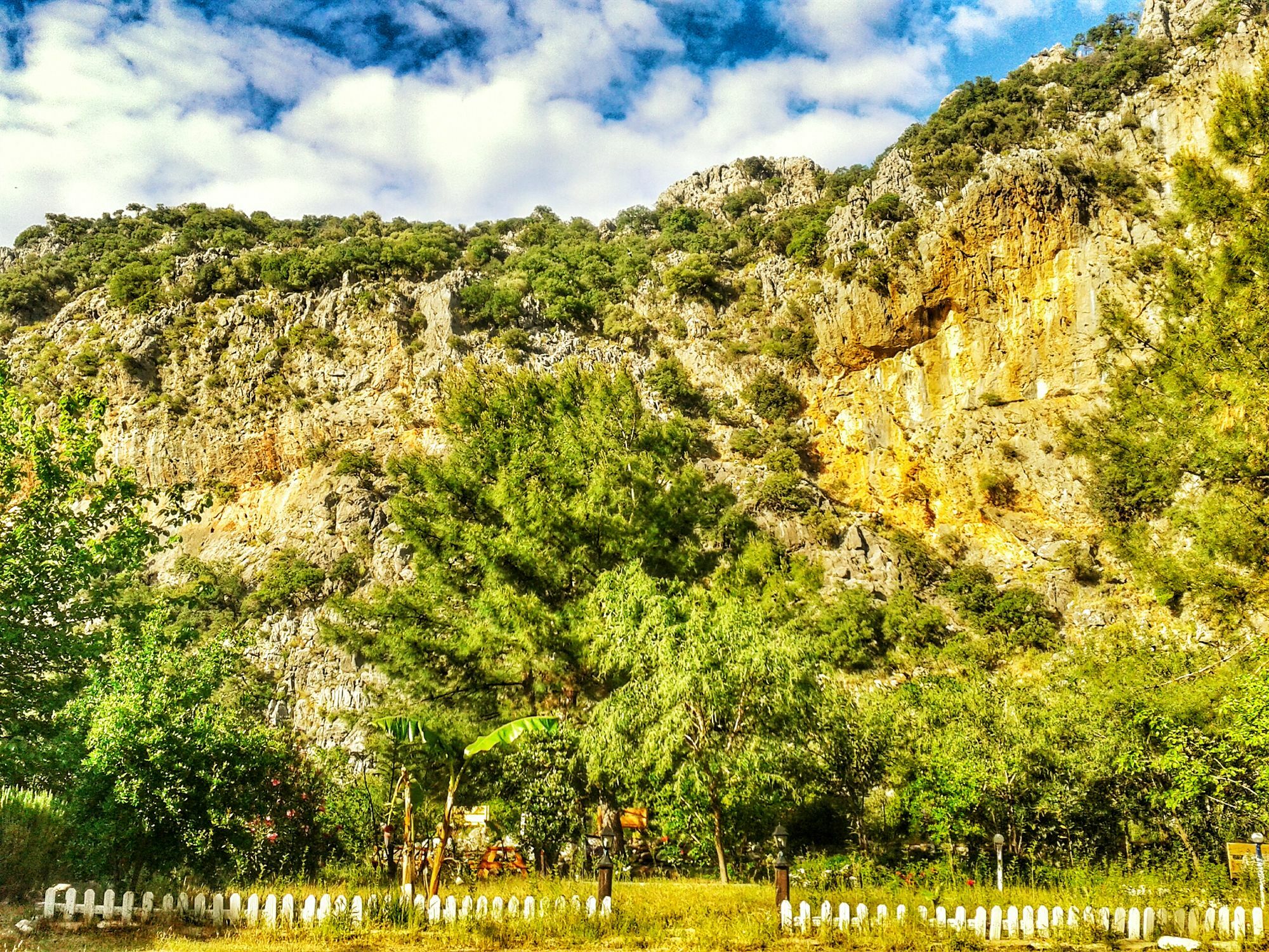 Dionysos Lodge Çıralı エクステリア 写真