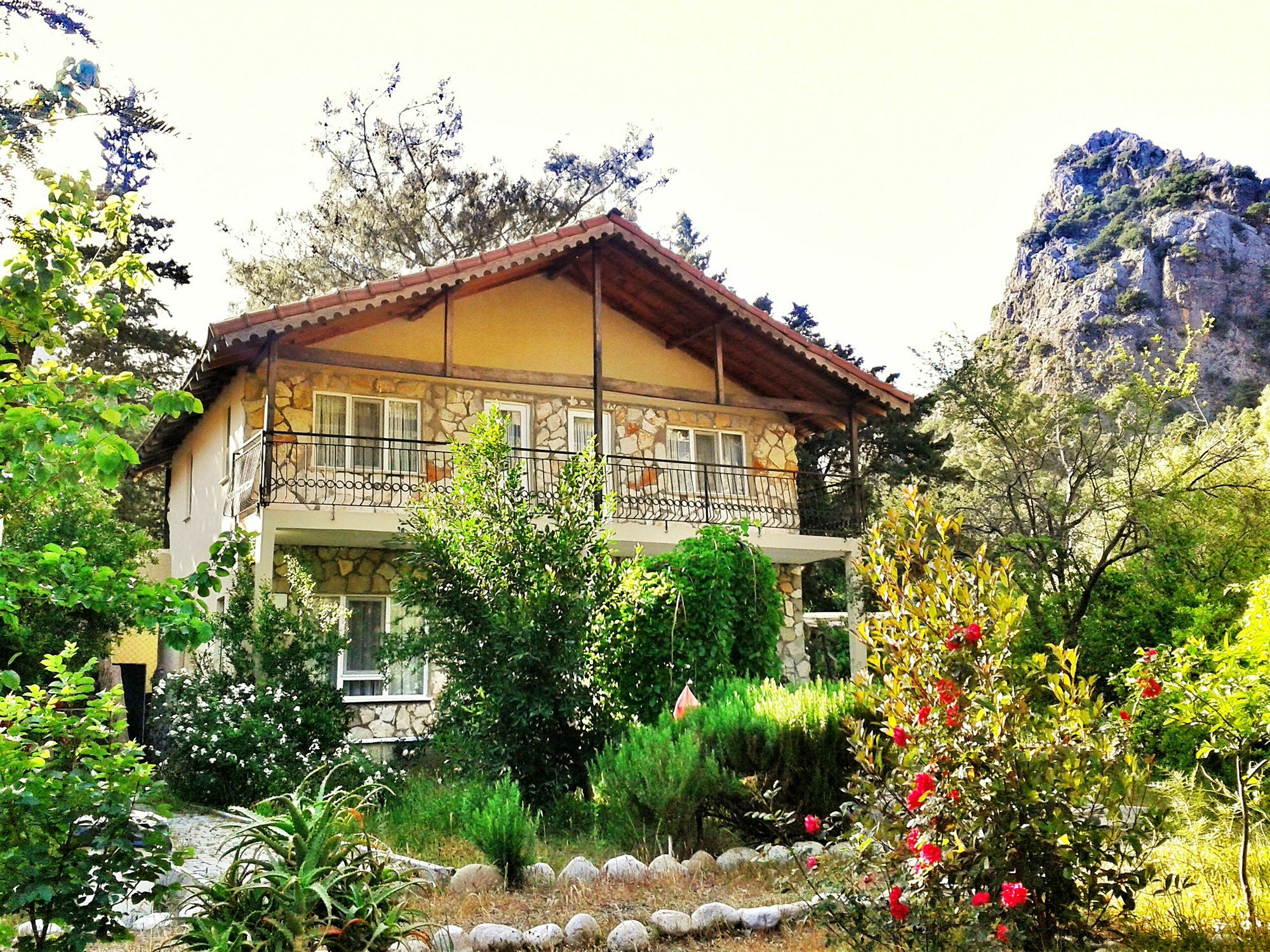 Dionysos Lodge Çıralı エクステリア 写真