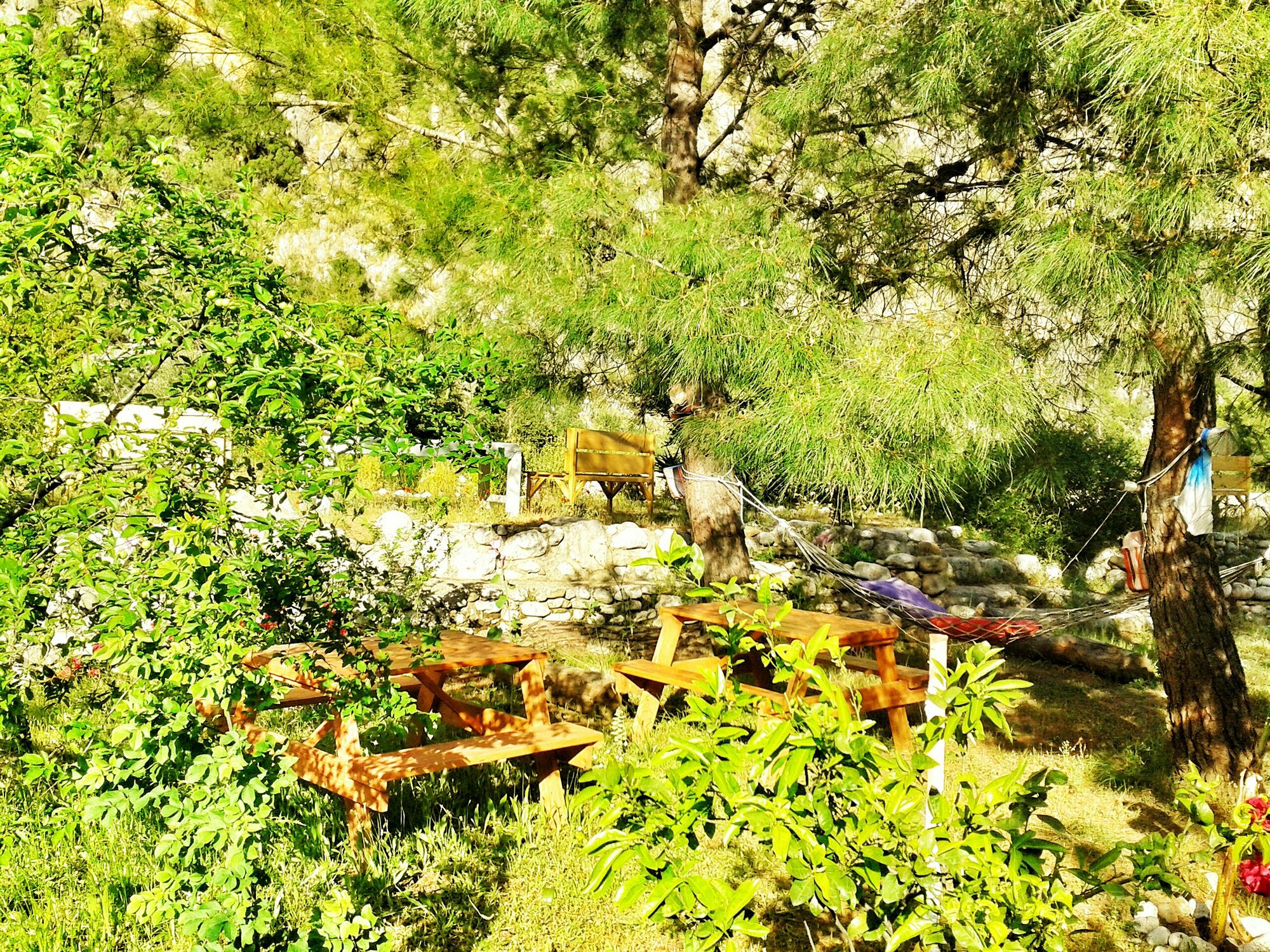 Dionysos Lodge Çıralı エクステリア 写真