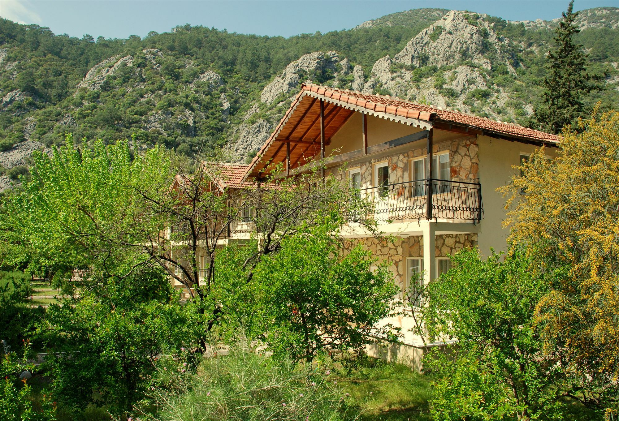 Dionysos Lodge Çıralı エクステリア 写真